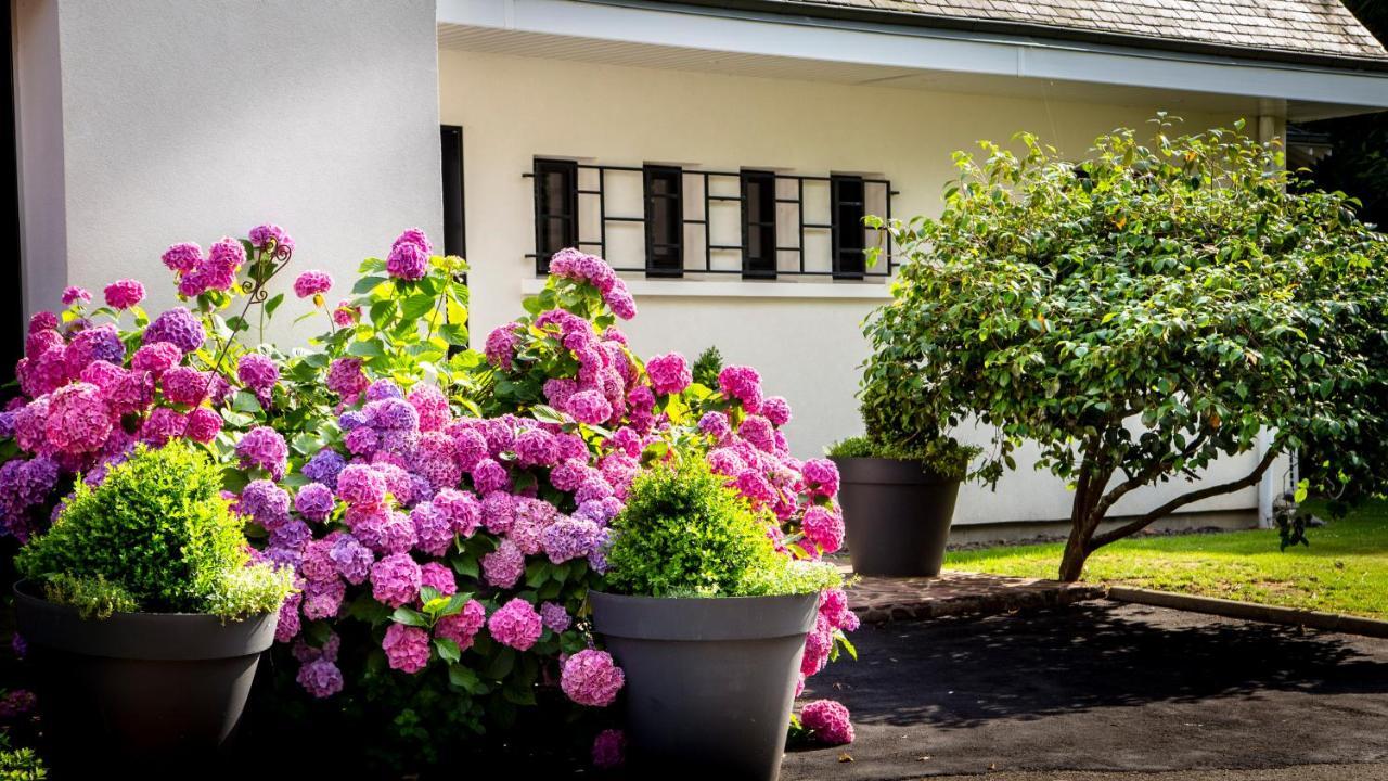 Le Champ Du Renne Bed & Breakfast Le Mans Exterior photo